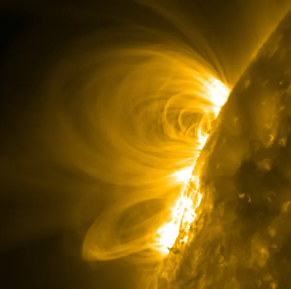 Coronal Loops